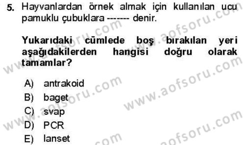 Veteriner Mikrobiyoloji ve Epidemiyoloji Dersi 2021 - 2022 Yılı Yaz Okulu Sınav Soruları 5. Soru