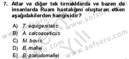 Veteriner Mikrobiyoloji ve Epidemiyoloji Dersi 2021 - 2022 Yılı Yaz Okulu Sınav Soruları 7. Soru