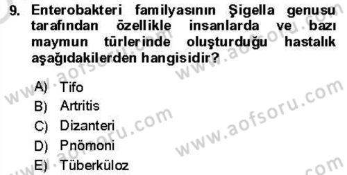 Veteriner Mikrobiyoloji ve Epidemiyoloji Dersi 2021 - 2022 Yılı Yaz Okulu Sınav Soruları 9. Soru