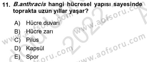 Veteriner Mikrobiyoloji ve Epidemiyoloji Dersi 2022 - 2023 Yılı (Vize) Ara Sınavı 11. Soru