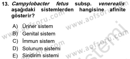 Veteriner Mikrobiyoloji ve Epidemiyoloji Dersi 2022 - 2023 Yılı (Vize) Ara Sınav Soruları 13. Soru