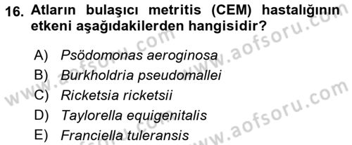 Veteriner Mikrobiyoloji ve Epidemiyoloji Dersi 2022 - 2023 Yılı (Vize) Ara Sınav Soruları 16. Soru