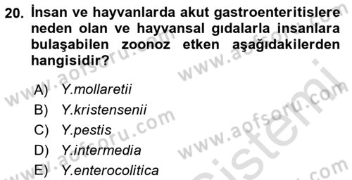 Veteriner Mikrobiyoloji ve Epidemiyoloji Dersi 2022 - 2023 Yılı (Vize) Ara Sınavı 20. Soru