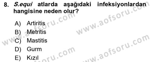 Veteriner Mikrobiyoloji ve Epidemiyoloji Dersi 2022 - 2023 Yılı (Vize) Ara Sınavı 8. Soru