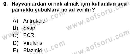 Veteriner Mikrobiyoloji ve Epidemiyoloji Dersi 2022 - 2023 Yılı (Vize) Ara Sınav Soruları 9. Soru