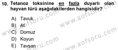 Veteriner Mikrobiyoloji ve Epidemiyoloji Dersi 2022 - 2023 Yılı (Final) Dönem Sonu Sınavı 10. Soru