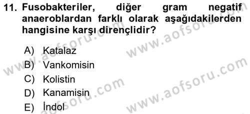 Veteriner Mikrobiyoloji ve Epidemiyoloji Dersi 2022 - 2023 Yılı (Final) Dönem Sonu Sınavı 11. Soru