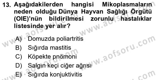 Veteriner Mikrobiyoloji ve Epidemiyoloji Dersi 2022 - 2023 Yılı (Final) Dönem Sonu Sınav Soruları 13. Soru