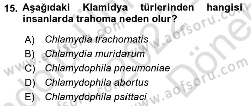 Veteriner Mikrobiyoloji ve Epidemiyoloji Dersi 2022 - 2023 Yılı (Final) Dönem Sonu Sınavı 15. Soru