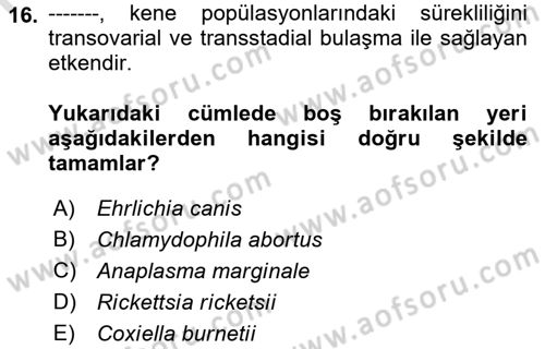 Veteriner Mikrobiyoloji ve Epidemiyoloji Dersi 2022 - 2023 Yılı (Final) Dönem Sonu Sınav Soruları 16. Soru