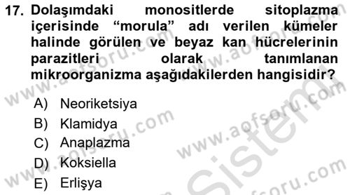 Veteriner Mikrobiyoloji ve Epidemiyoloji Dersi 2022 - 2023 Yılı (Final) Dönem Sonu Sınav Soruları 17. Soru