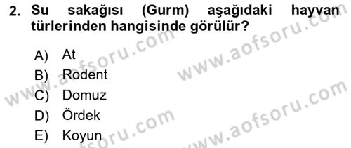 Veteriner Mikrobiyoloji ve Epidemiyoloji Dersi 2022 - 2023 Yılı (Final) Dönem Sonu Sınavı 2. Soru