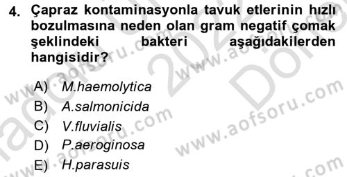 Veteriner Mikrobiyoloji ve Epidemiyoloji Dersi 2022 - 2023 Yılı (Final) Dönem Sonu Sınav Soruları 4. Soru