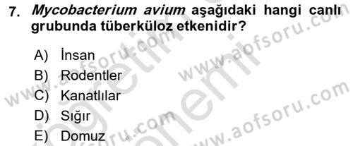 Veteriner Mikrobiyoloji ve Epidemiyoloji Dersi 2022 - 2023 Yılı (Final) Dönem Sonu Sınavı 7. Soru