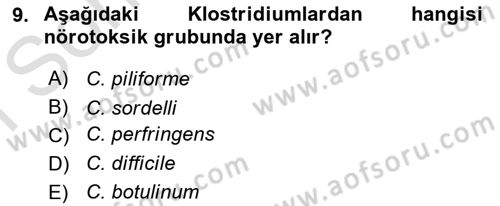 Veteriner Mikrobiyoloji ve Epidemiyoloji Dersi 2022 - 2023 Yılı (Final) Dönem Sonu Sınavı 9. Soru