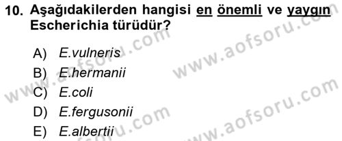 Veteriner Mikrobiyoloji ve Epidemiyoloji Dersi 2022 - 2023 Yılı Yaz Okulu Sınavı 10. Soru