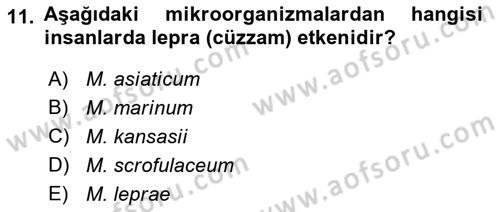 Veteriner Mikrobiyoloji ve Epidemiyoloji Dersi 2022 - 2023 Yılı Yaz Okulu Sınav Soruları 11. Soru