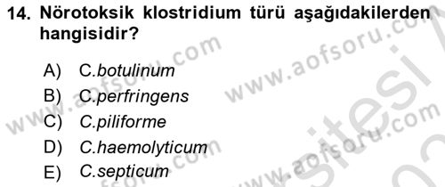 Veteriner Mikrobiyoloji ve Epidemiyoloji Dersi 2022 - 2023 Yılı Yaz Okulu Sınav Soruları 14. Soru