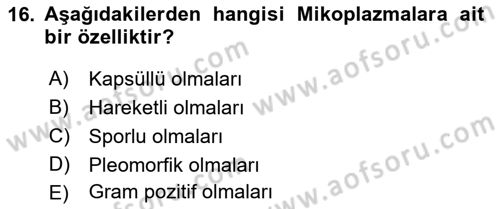 Veteriner Mikrobiyoloji ve Epidemiyoloji Dersi 2022 - 2023 Yılı Yaz Okulu Sınav Soruları 16. Soru
