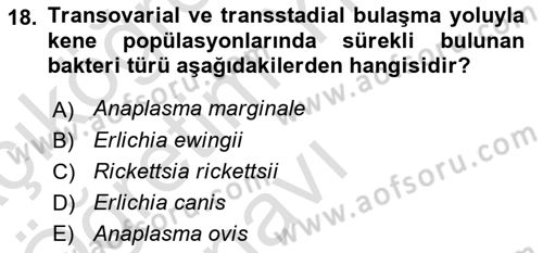 Veteriner Mikrobiyoloji ve Epidemiyoloji Dersi 2022 - 2023 Yılı Yaz Okulu Sınav Soruları 18. Soru