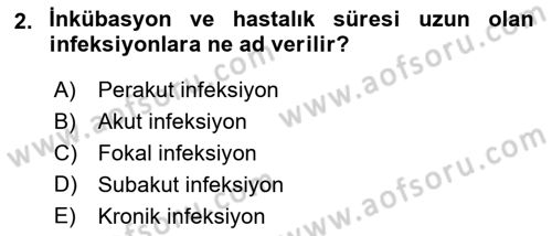 Veteriner Mikrobiyoloji ve Epidemiyoloji Dersi 2022 - 2023 Yılı Yaz Okulu Sınav Soruları 2. Soru