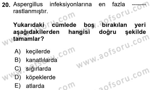 Veteriner Mikrobiyoloji ve Epidemiyoloji Dersi 2022 - 2023 Yılı Yaz Okulu Sınavı 20. Soru