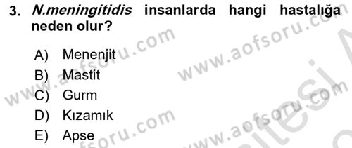 Veteriner Mikrobiyoloji ve Epidemiyoloji Dersi 2022 - 2023 Yılı Yaz Okulu Sınav Soruları 3. Soru
