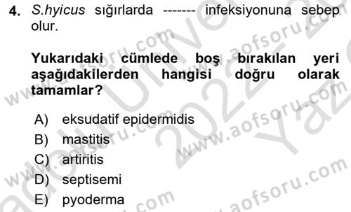 Veteriner Mikrobiyoloji ve Epidemiyoloji Dersi 2022 - 2023 Yılı Yaz Okulu Sınavı 4. Soru