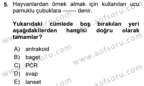 Veteriner Mikrobiyoloji ve Epidemiyoloji Dersi 2022 - 2023 Yılı Yaz Okulu Sınavı 5. Soru