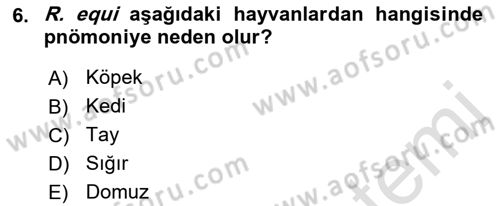 Veteriner Mikrobiyoloji ve Epidemiyoloji Dersi 2022 - 2023 Yılı Yaz Okulu Sınavı 6. Soru