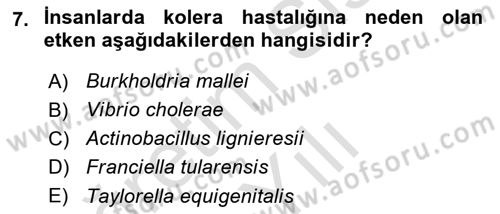 Veteriner Mikrobiyoloji ve Epidemiyoloji Dersi 2022 - 2023 Yılı Yaz Okulu Sınav Soruları 7. Soru