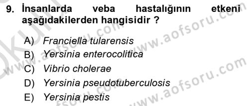 Veteriner Mikrobiyoloji ve Epidemiyoloji Dersi 2022 - 2023 Yılı Yaz Okulu Sınav Soruları 9. Soru