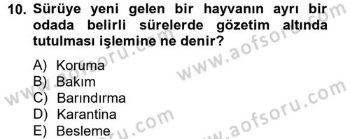 Laboratuvar Hayvanlarını Yetiştirme ve Sağlığı Dersi 2012 - 2013 Yılı (Vize) Ara Sınav Soruları 10. Soru