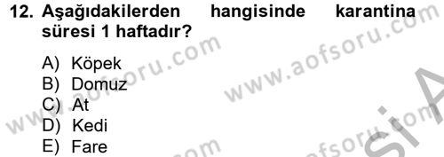 Laboratuvar Hayvanlarını Yetiştirme ve Sağlığı Dersi 2012 - 2013 Yılı (Vize) Ara Sınav Soruları 12. Soru