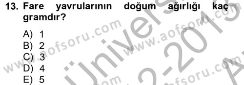 Laboratuvar Hayvanlarını Yetiştirme ve Sağlığı Dersi 2012 - 2013 Yılı (Vize) Ara Sınav Soruları 13. Soru