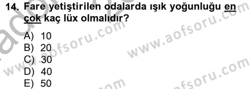 Laboratuvar Hayvanlarını Yetiştirme ve Sağlığı Dersi 2012 - 2013 Yılı (Vize) Ara Sınav Soruları 14. Soru