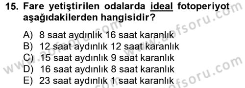 Laboratuvar Hayvanlarını Yetiştirme ve Sağlığı Dersi 2012 - 2013 Yılı (Vize) Ara Sınav Soruları 15. Soru