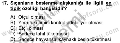 Laboratuvar Hayvanlarını Yetiştirme ve Sağlığı Dersi 2012 - 2013 Yılı (Vize) Ara Sınav Soruları 17. Soru