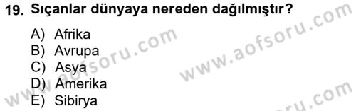 Laboratuvar Hayvanlarını Yetiştirme ve Sağlığı Dersi 2012 - 2013 Yılı (Vize) Ara Sınav Soruları 19. Soru
