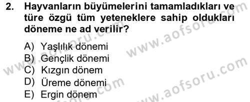 Laboratuvar Hayvanlarını Yetiştirme ve Sağlığı Dersi 2012 - 2013 Yılı (Vize) Ara Sınav Soruları 2. Soru