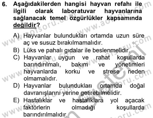 Laboratuvar Hayvanlarını Yetiştirme ve Sağlığı Dersi 2012 - 2013 Yılı (Vize) Ara Sınav Soruları 6. Soru