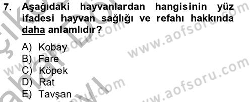 Laboratuvar Hayvanlarını Yetiştirme ve Sağlığı Dersi 2012 - 2013 Yılı (Vize) Ara Sınav Soruları 7. Soru