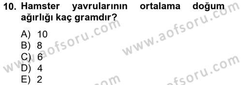 Laboratuvar Hayvanlarını Yetiştirme ve Sağlığı Dersi 2012 - 2013 Yılı (Final) Dönem Sonu Sınav Soruları 10. Soru