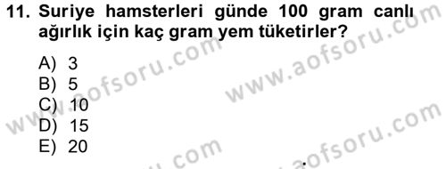 Laboratuvar Hayvanlarını Yetiştirme ve Sağlığı Dersi 2012 - 2013 Yılı (Final) Dönem Sonu Sınav Soruları 11. Soru
