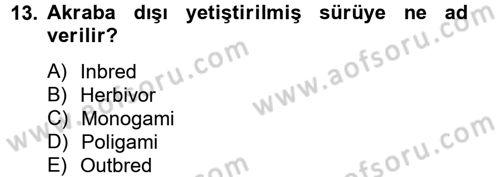 Laboratuvar Hayvanlarını Yetiştirme ve Sağlığı Dersi 2012 - 2013 Yılı (Final) Dönem Sonu Sınav Soruları 13. Soru