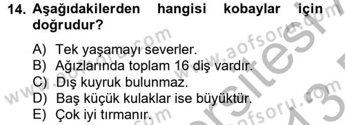 Laboratuvar Hayvanlarını Yetiştirme ve Sağlığı Dersi 2012 - 2013 Yılı (Final) Dönem Sonu Sınav Soruları 14. Soru