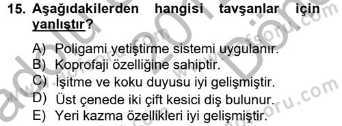 Laboratuvar Hayvanlarını Yetiştirme ve Sağlığı Dersi 2012 - 2013 Yılı (Final) Dönem Sonu Sınav Soruları 15. Soru