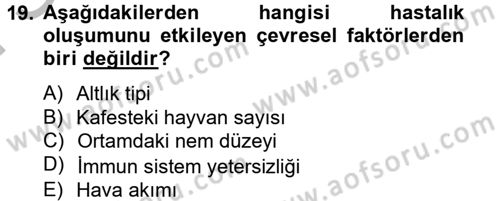 Laboratuvar Hayvanlarını Yetiştirme ve Sağlığı Dersi 2012 - 2013 Yılı (Final) Dönem Sonu Sınav Soruları 19. Soru