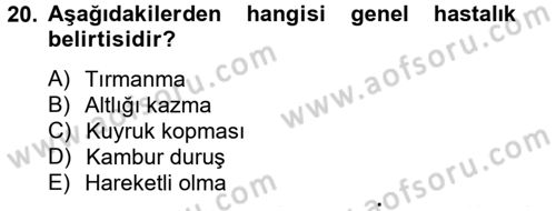 Laboratuvar Hayvanlarını Yetiştirme ve Sağlığı Dersi 2012 - 2013 Yılı (Final) Dönem Sonu Sınav Soruları 20. Soru