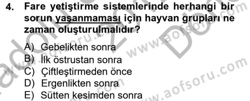 Laboratuvar Hayvanlarını Yetiştirme ve Sağlığı Dersi 2012 - 2013 Yılı (Final) Dönem Sonu Sınav Soruları 4. Soru